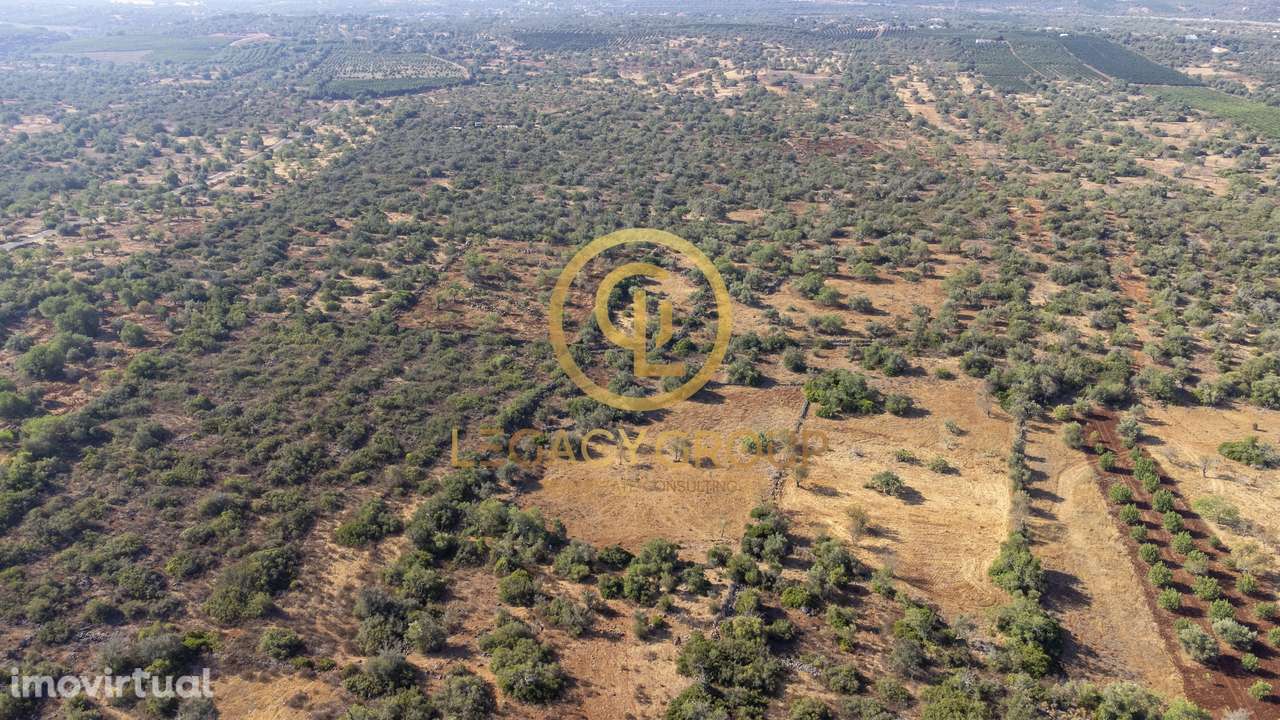 Terreno rústico de 1.2 hectares em Alte, Loulé - Grande imagem: 5/16