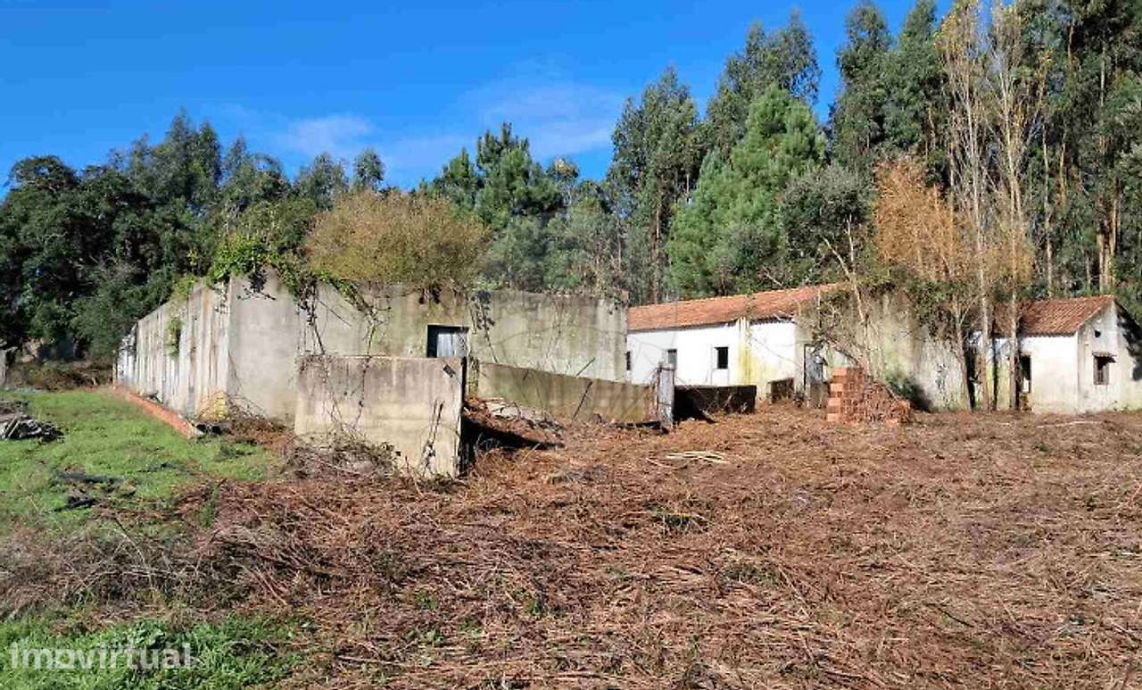 Armazém  para venda - Grande imagem: 2/7
