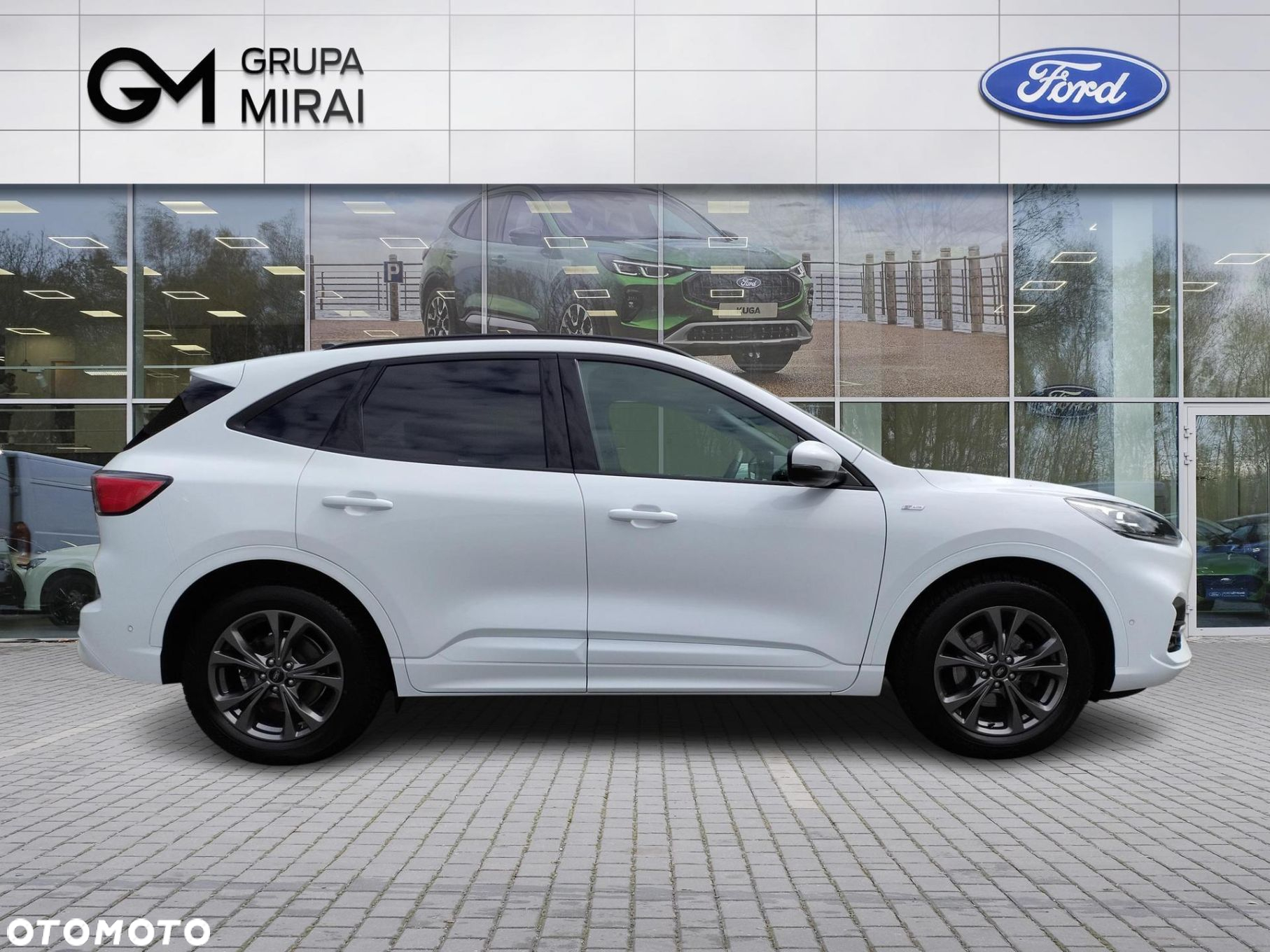 Ford Kuga 2.0 EcoBlue AWD ST-Line X - 6
