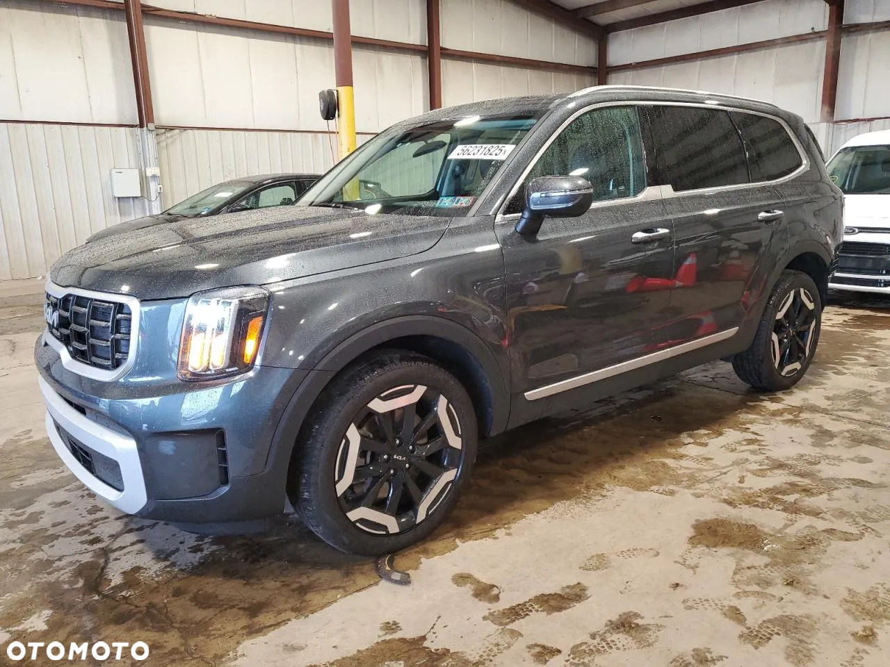 Kia Telluride - 2
