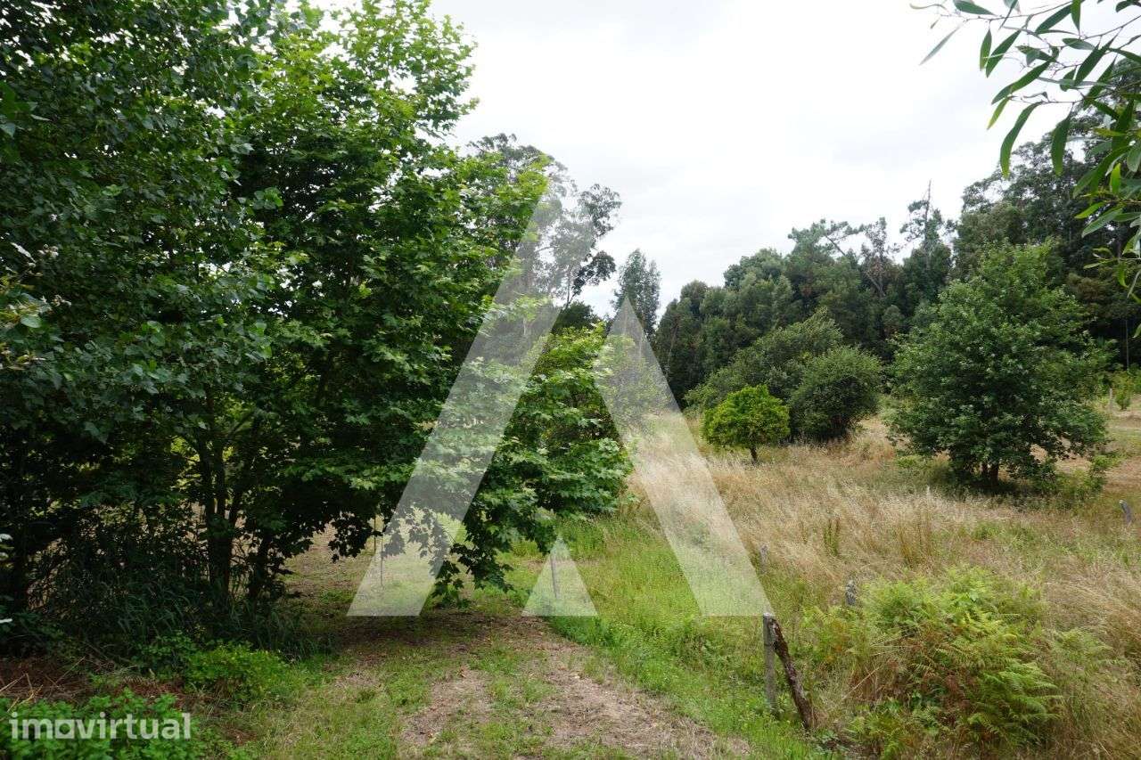 Terreno agrícola situado na zona de Horta em Eixo, Aveiro - Grande imagem: 2/25