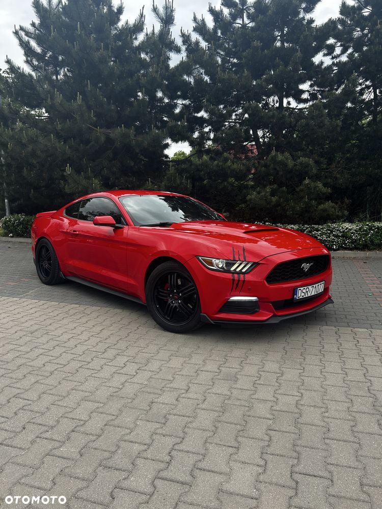 Ford Mustang - 1