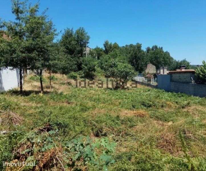 Vendo casa rústica com terreno atrás - Grande imagem: 5/5