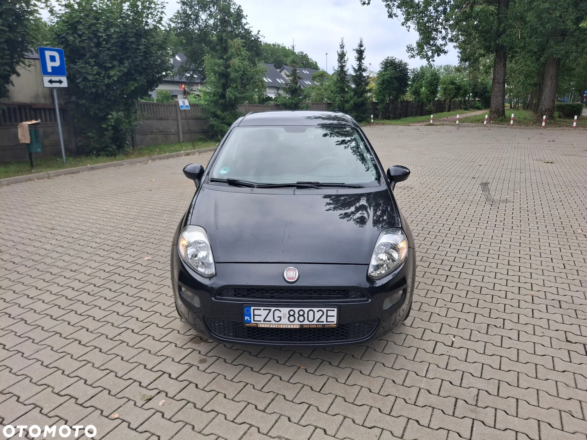 Fiat Punto 1.2 Fresh - 2