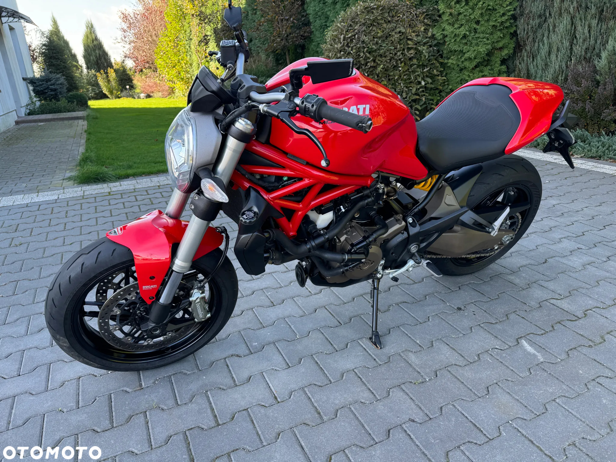 Ducati Monster - 10