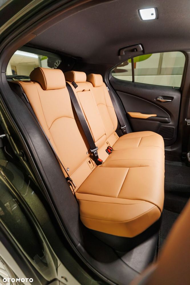 Lexus UX 300h F Sport Design - 17