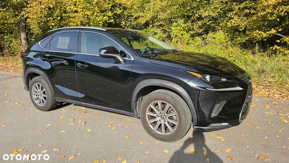 Lexus Nx 2019 photo 2