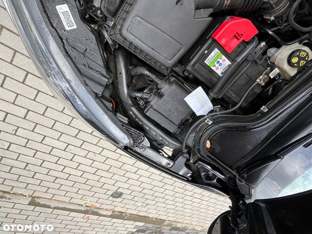 Ford Focus - 24