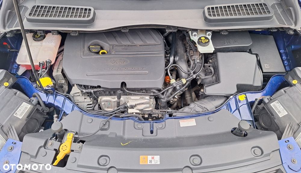Ford Kuga 1.5 EcoBoost 2x4 Trend - 20