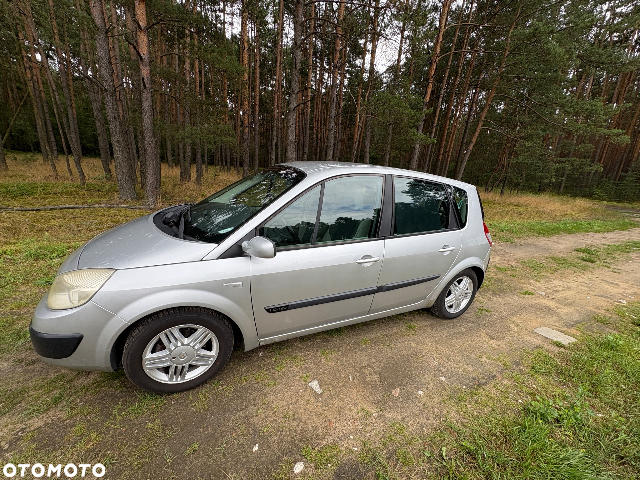Renault Scenic - 3