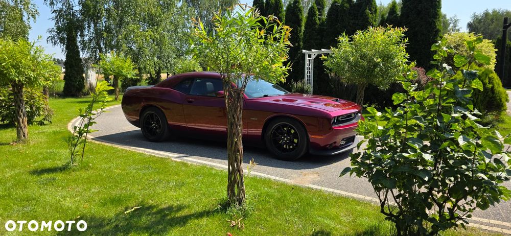 Dodge Challenger - 15