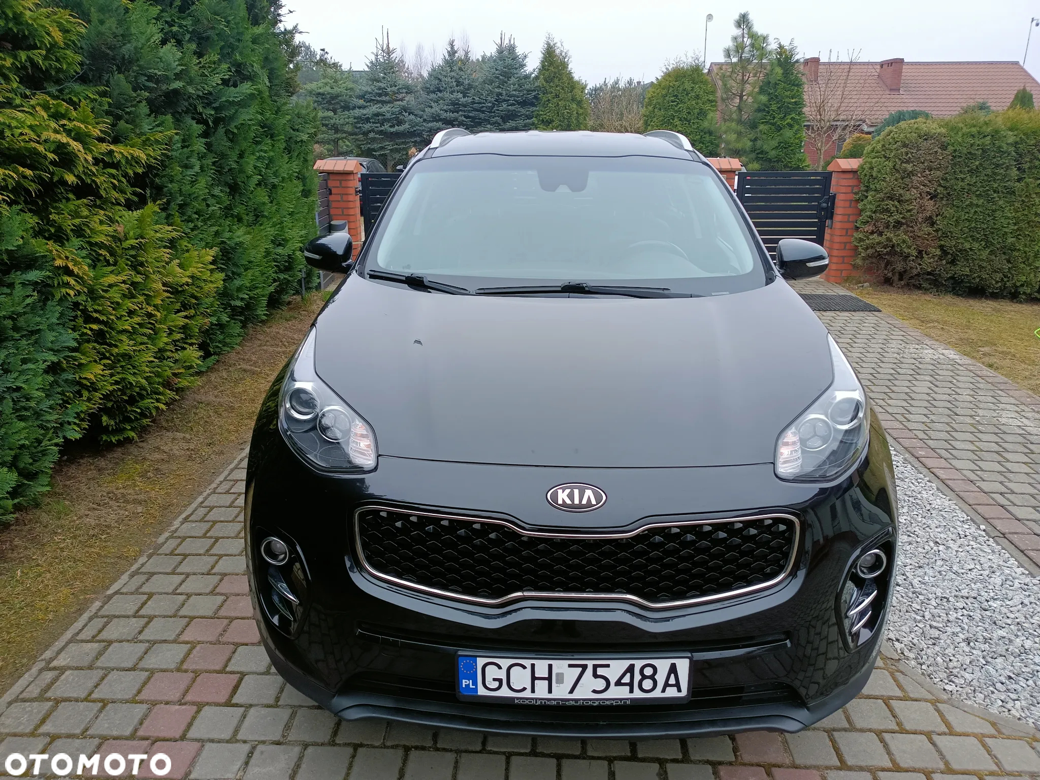 Kia Sportage - 21