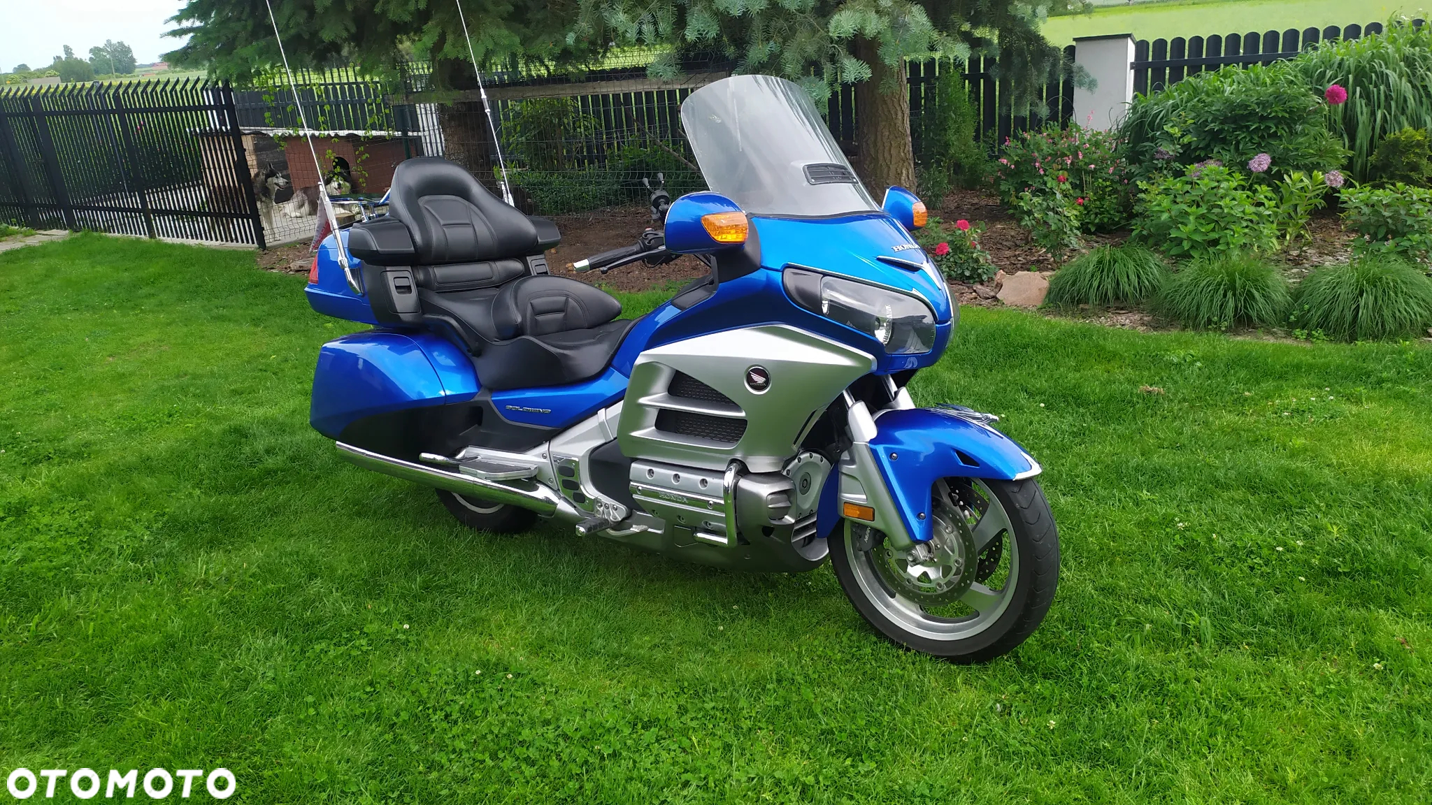 Honda GL - 24