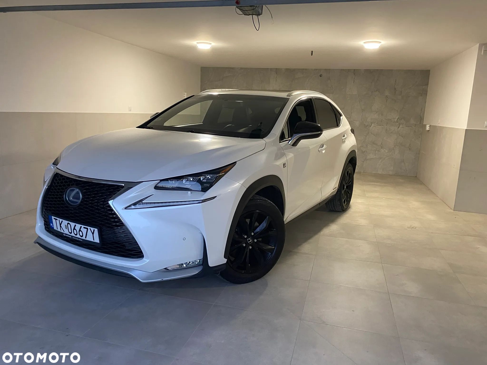 Lexus NX 300h - 1