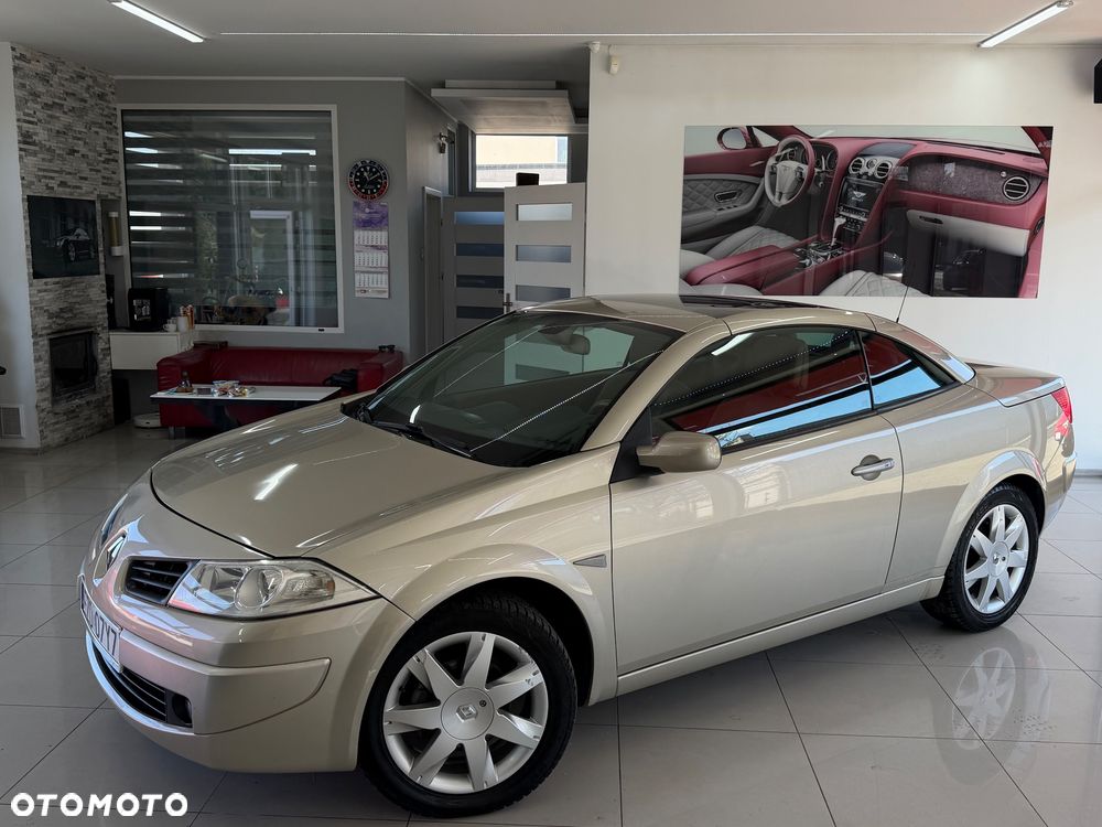 Renault Megane 2.0 Luxe Privilege - 24