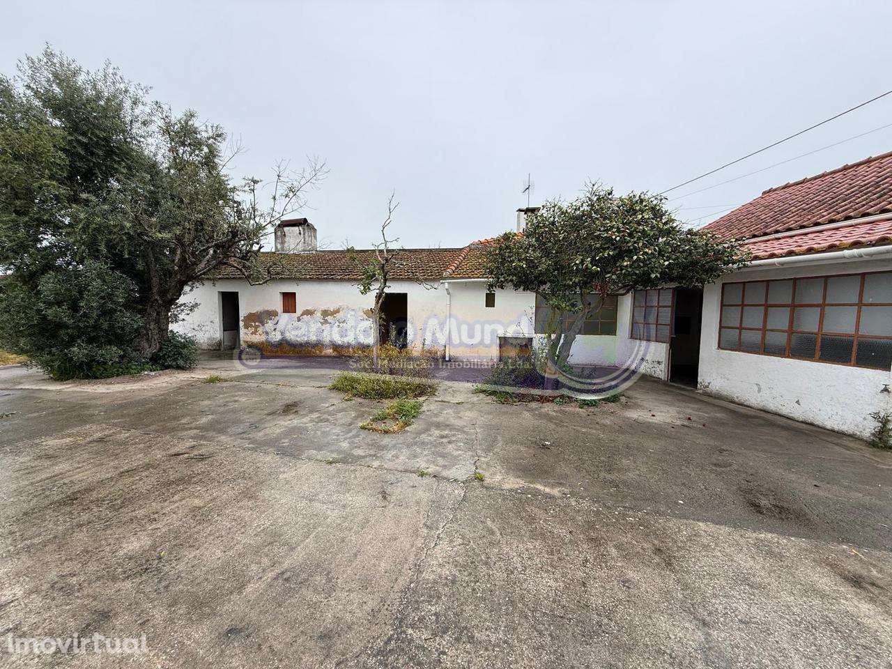 Moradia T3 em Marinhais (M814) - Grande imagem: 3/26