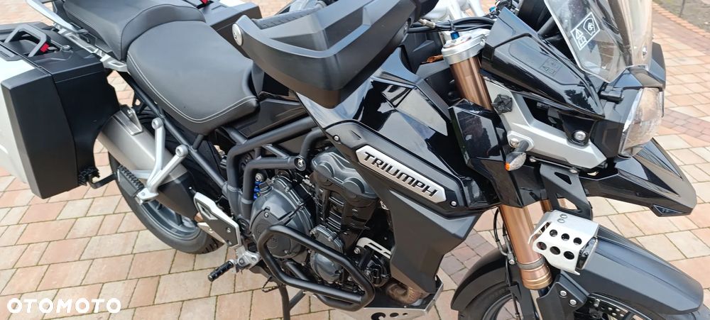 Triumph Tiger - 19