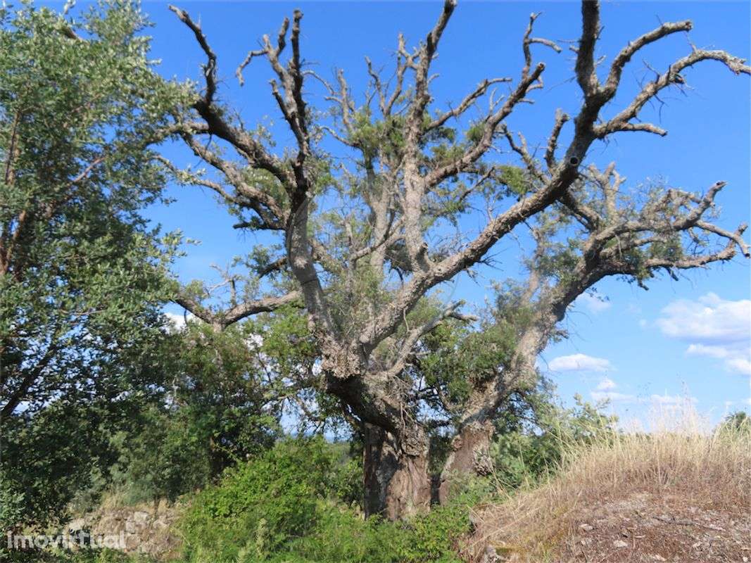 Quinta  para venda - Grande imagem: 3/22