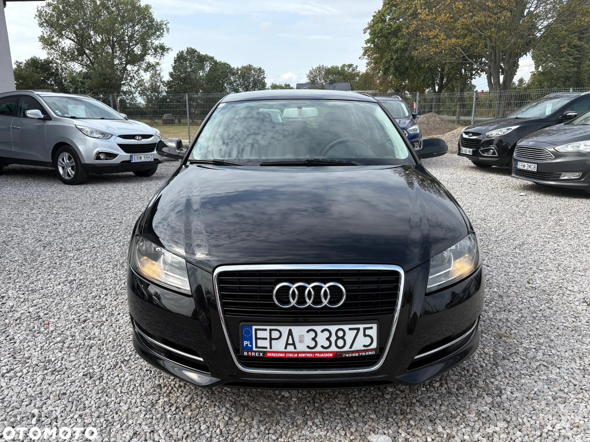 Audi A3 1.6 TDI DPF Attraction - 2