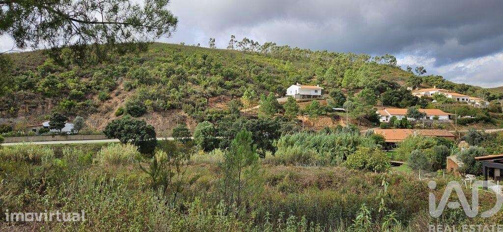 Terreno Agrícola em Mexilhoeira Grande - Grande imagem: 2/25