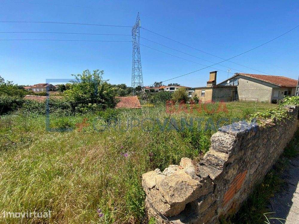 Terreno p/ moradia, para venda, Anadia - Amoreira da Gândara, Pared... - Grande imagem: 3/7