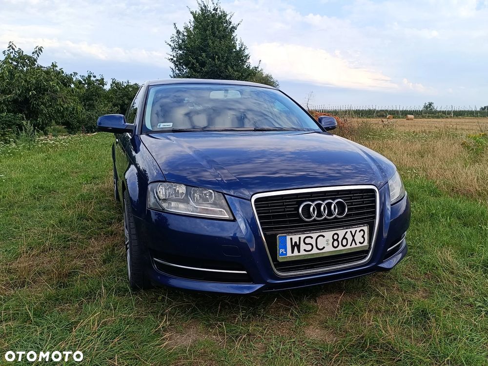Audi A3 Sportback 1.6 TDI DPF Ambition - 7
