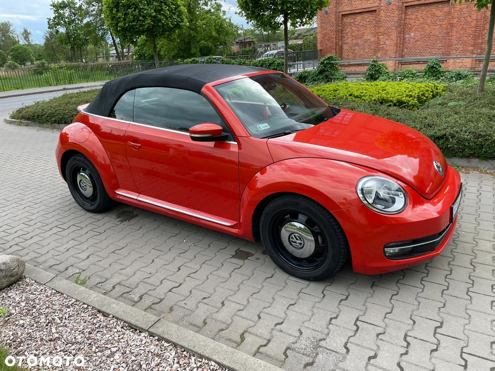 Volkswagen Beetle - 17