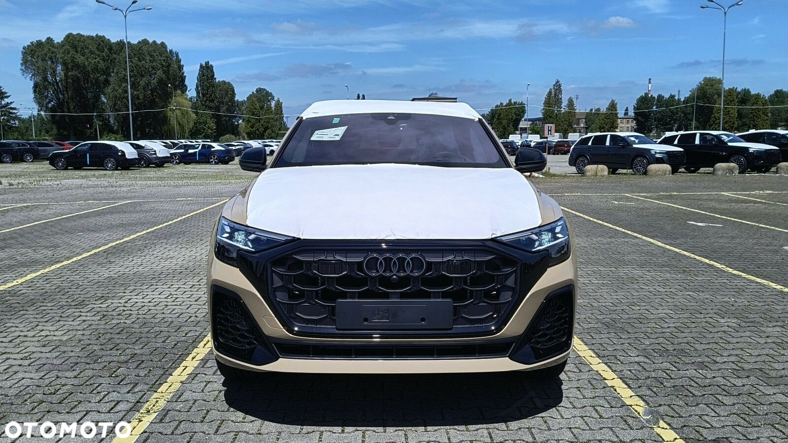 Audi Q8 - 4