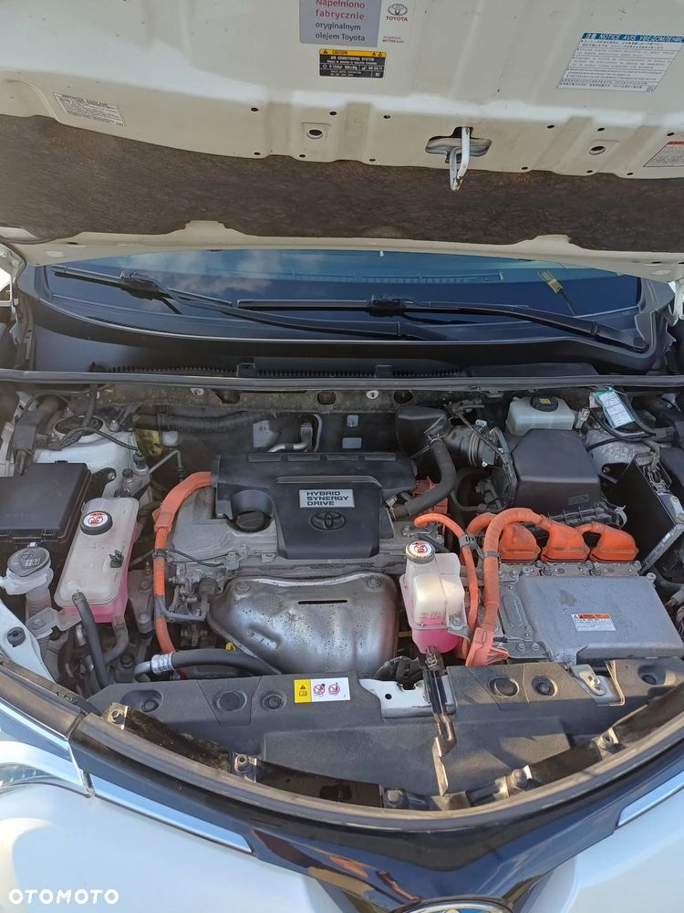Toyota RAV4 - 18