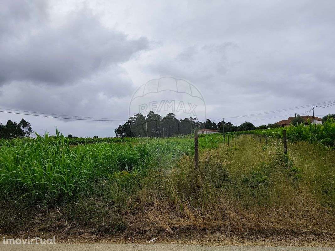 Terreno  para venda - Grande imagem: 4/5