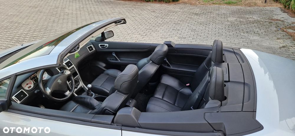 Peugeot 307 CC 2.0 - 10
