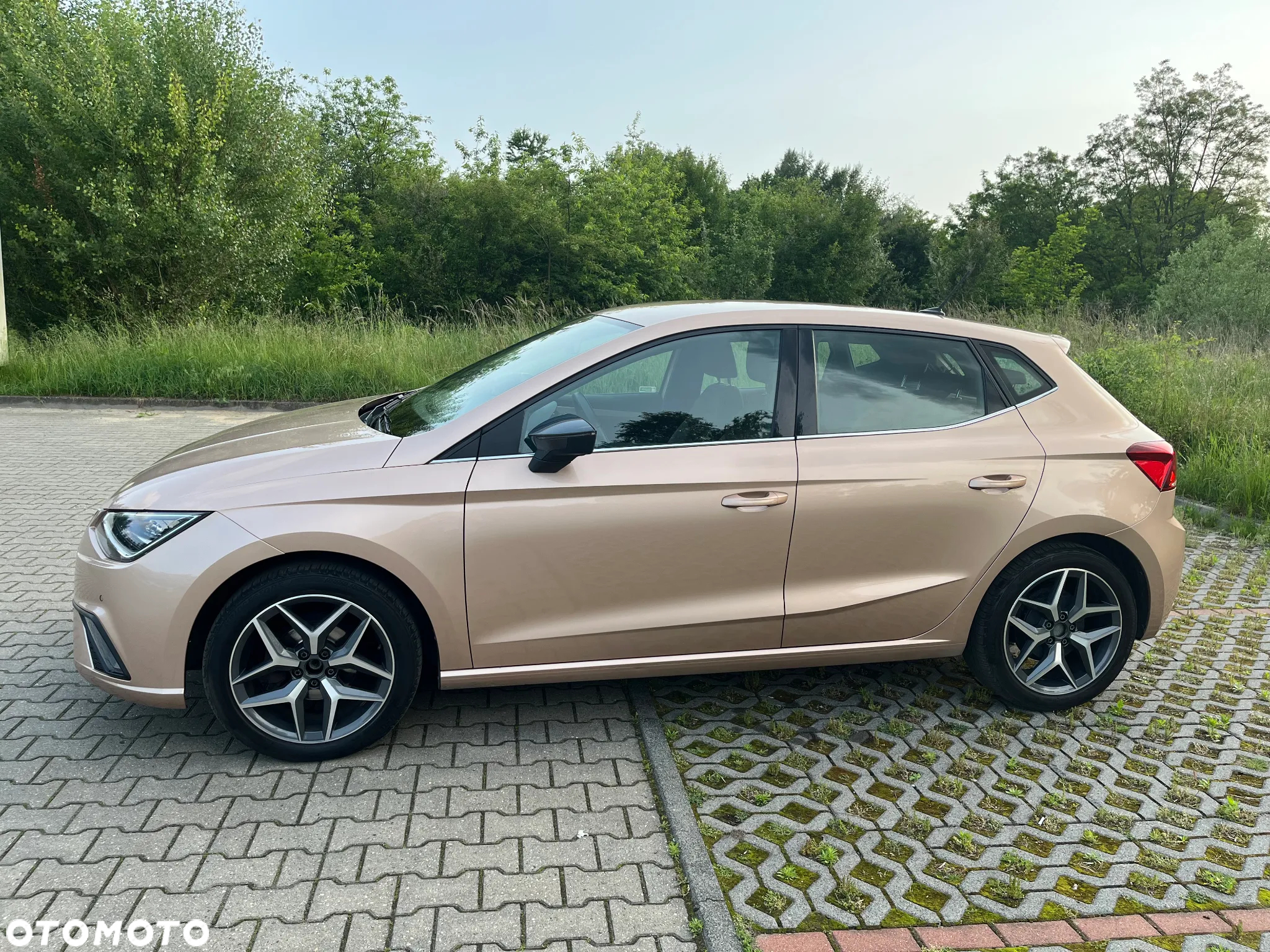 Seat Ibiza 1.0 TSI Xcellence S&S - 12
