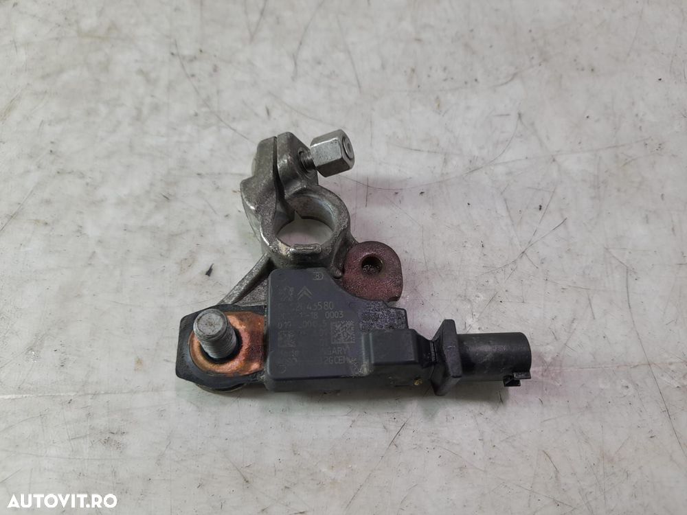 Borna baterie minus 9802043580 Citroen C4 Picasso 2 [2013 - 2017] - 1