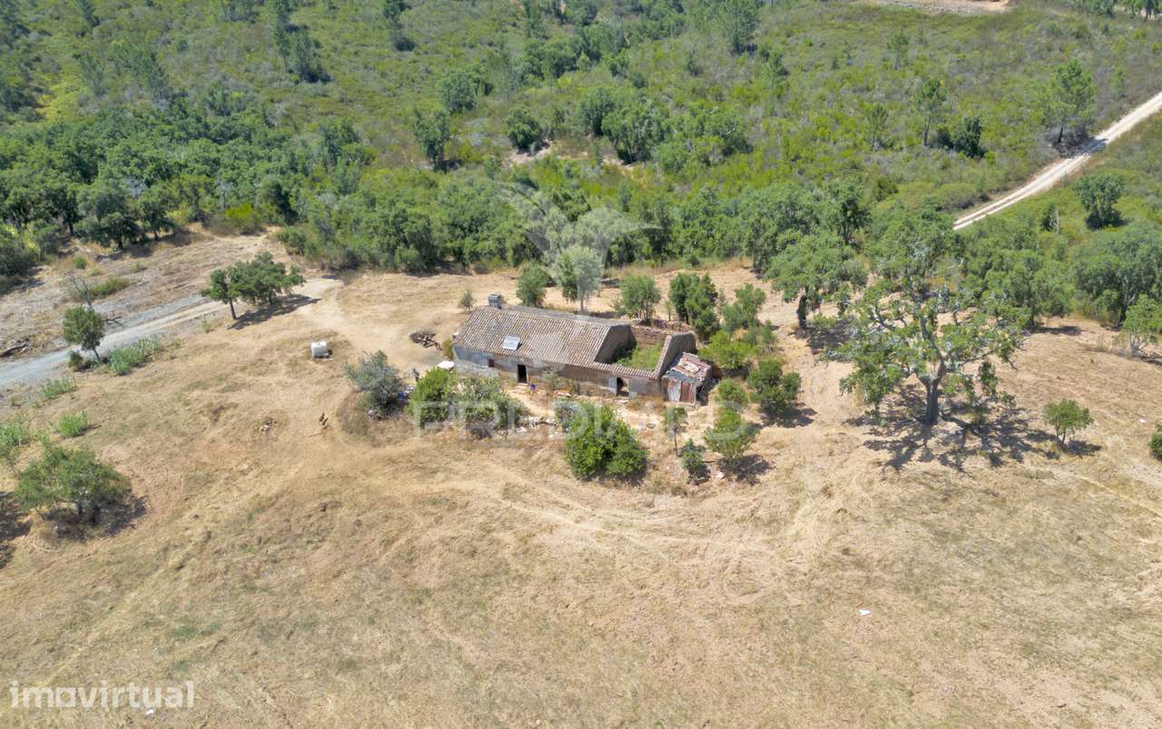 Herdade com 73,700 hectares e uma ruína registada com 126 m2. - Grande imagem: 3/20
