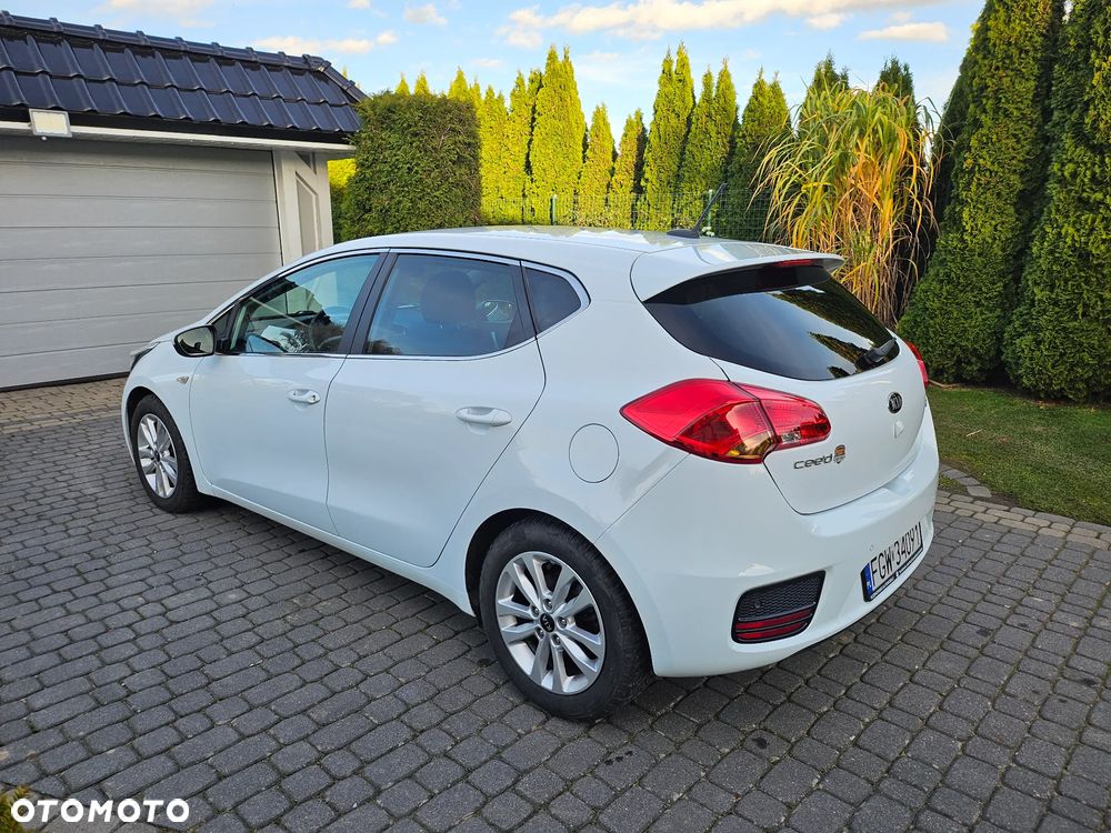 Kia Ceed 1.6 CRDi 136 ISG Dream Team Edition - 7
