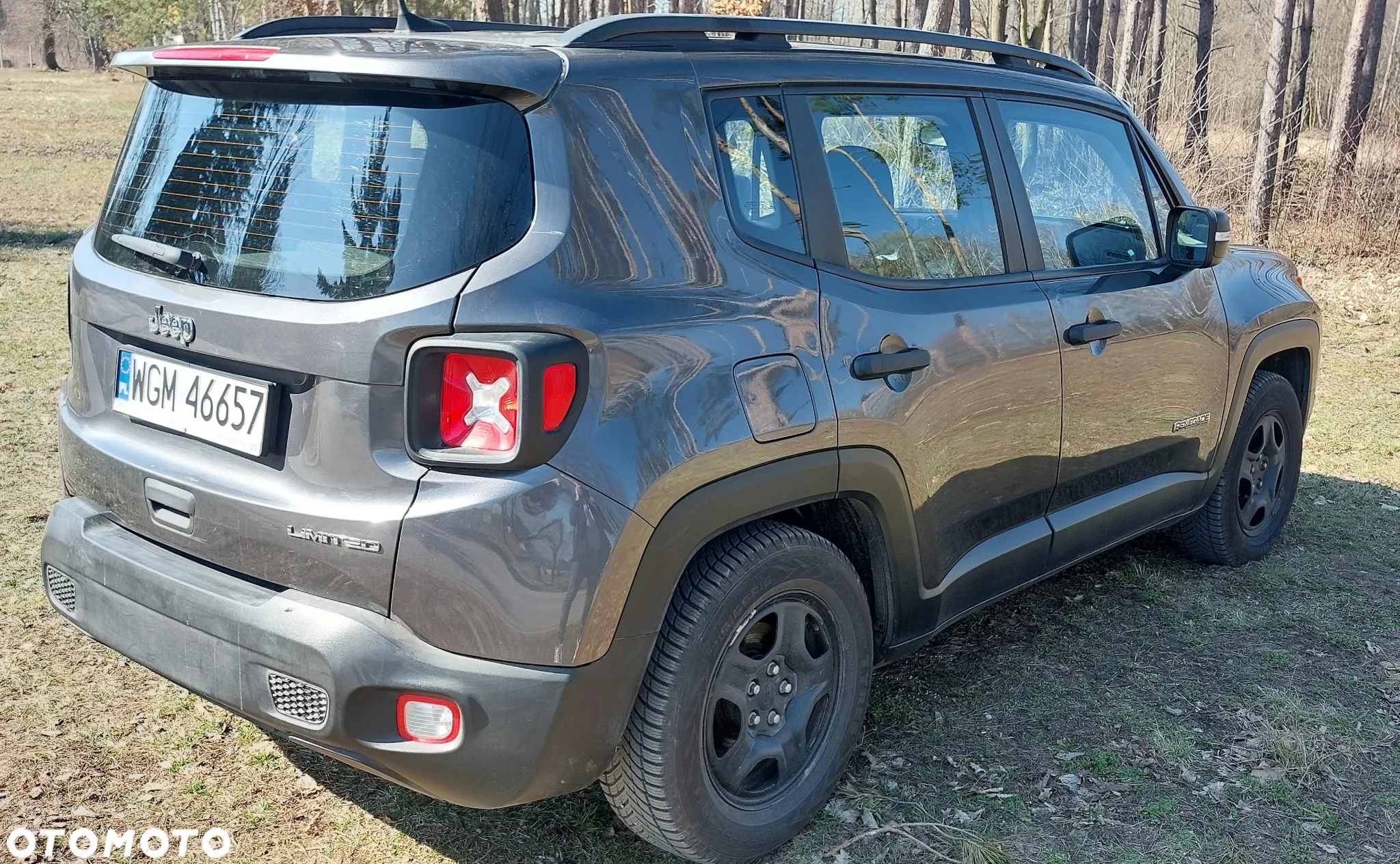 Jeep Renegade 1.6 E-TorQ Sport FWD - 8