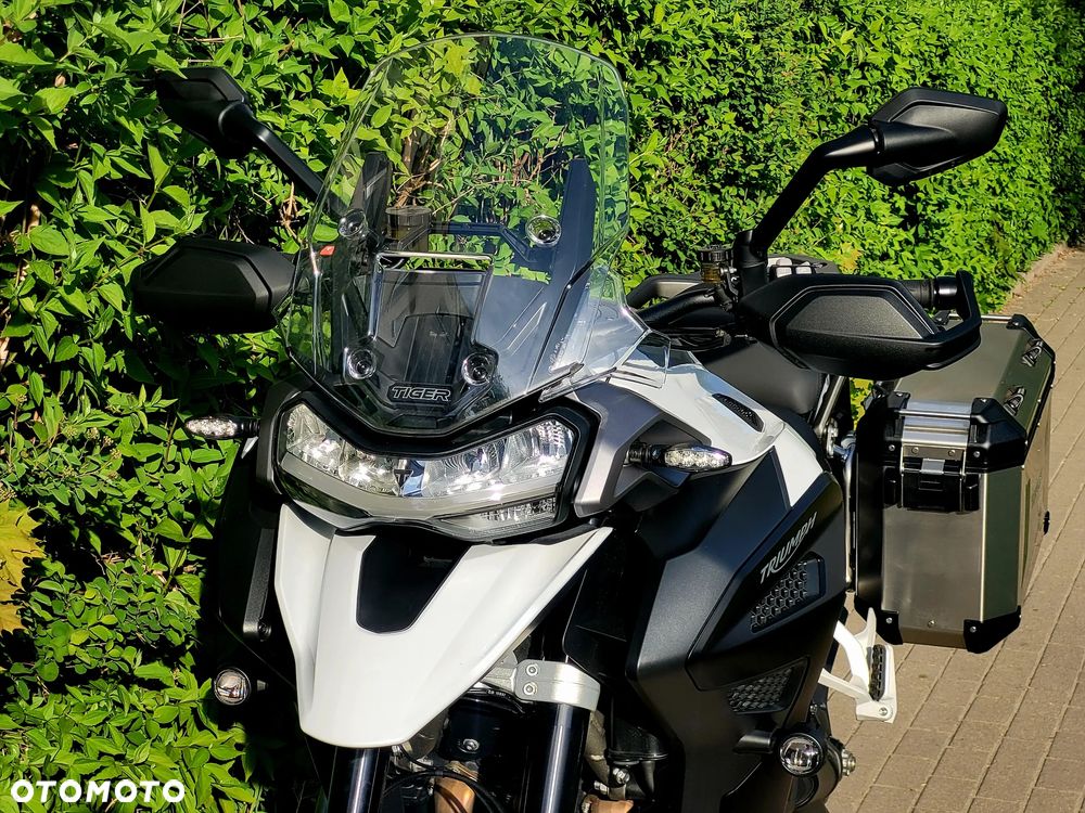 Triumph Tiger - 5