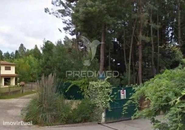 Terreno Rústico - Grande imagem: 3/4