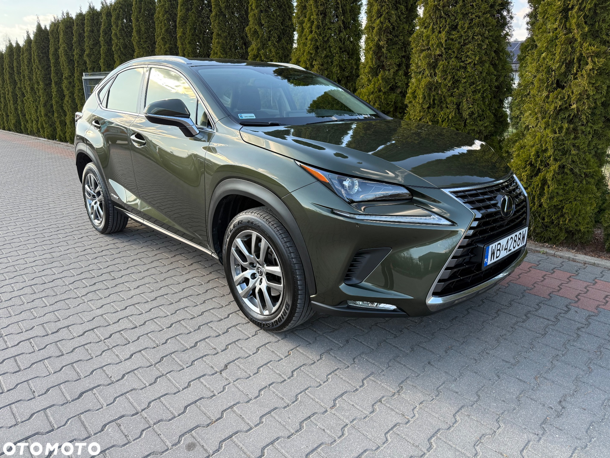 Lexus NX - 8
