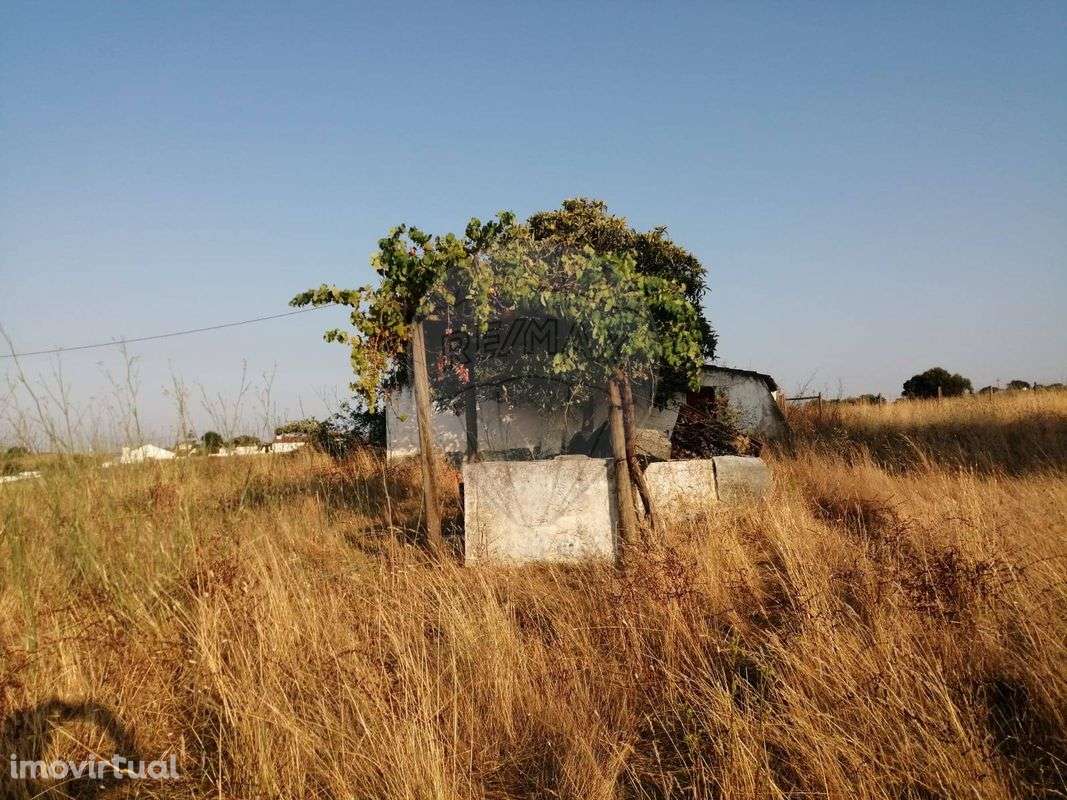 Quinta  para venda - Grande imagem: 3/7