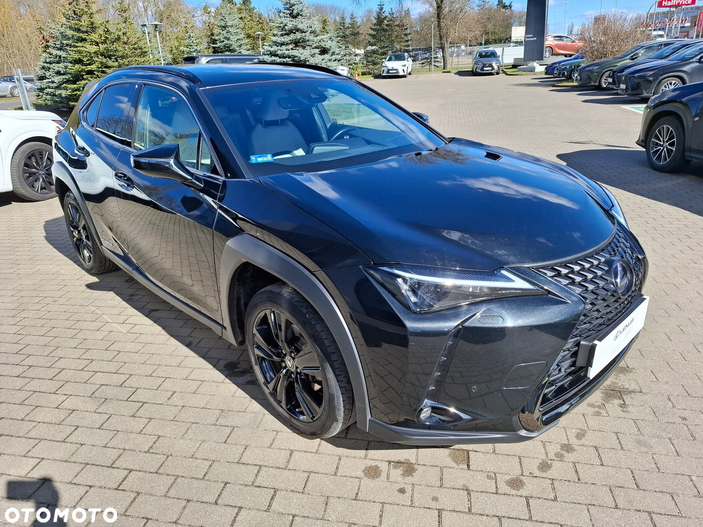 Lexus UX 250h GPF F Impression 2WD - 7
