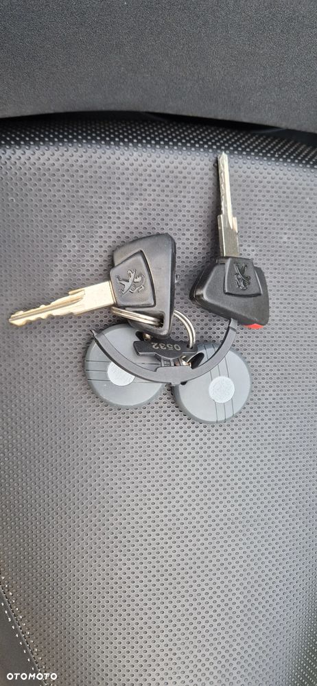 Peugeot Satelis - 15