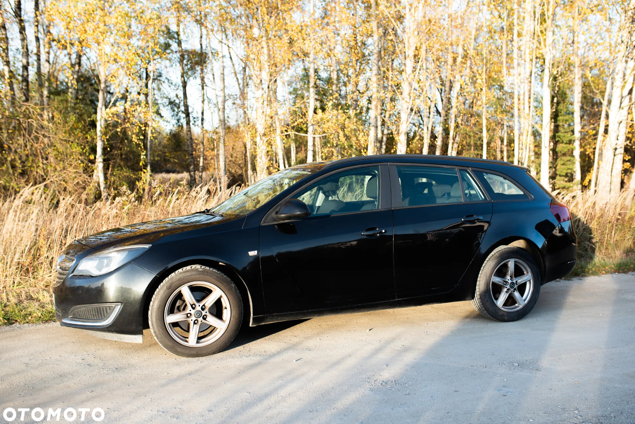 Opel Insignia 2.0 CDTI - 4