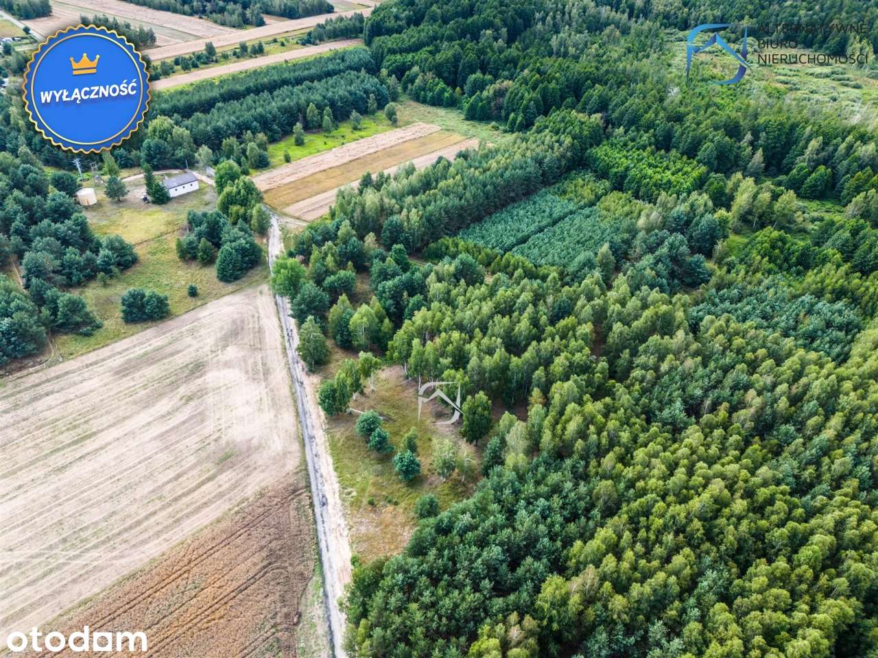 Grunt z potencjałem - 2504m2 - Serniki Kolonia - Pełny obrazek: 3/15