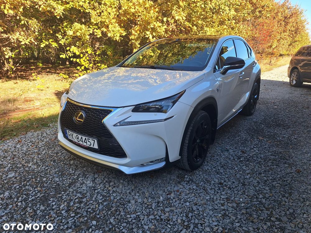 Lexus NX - 2