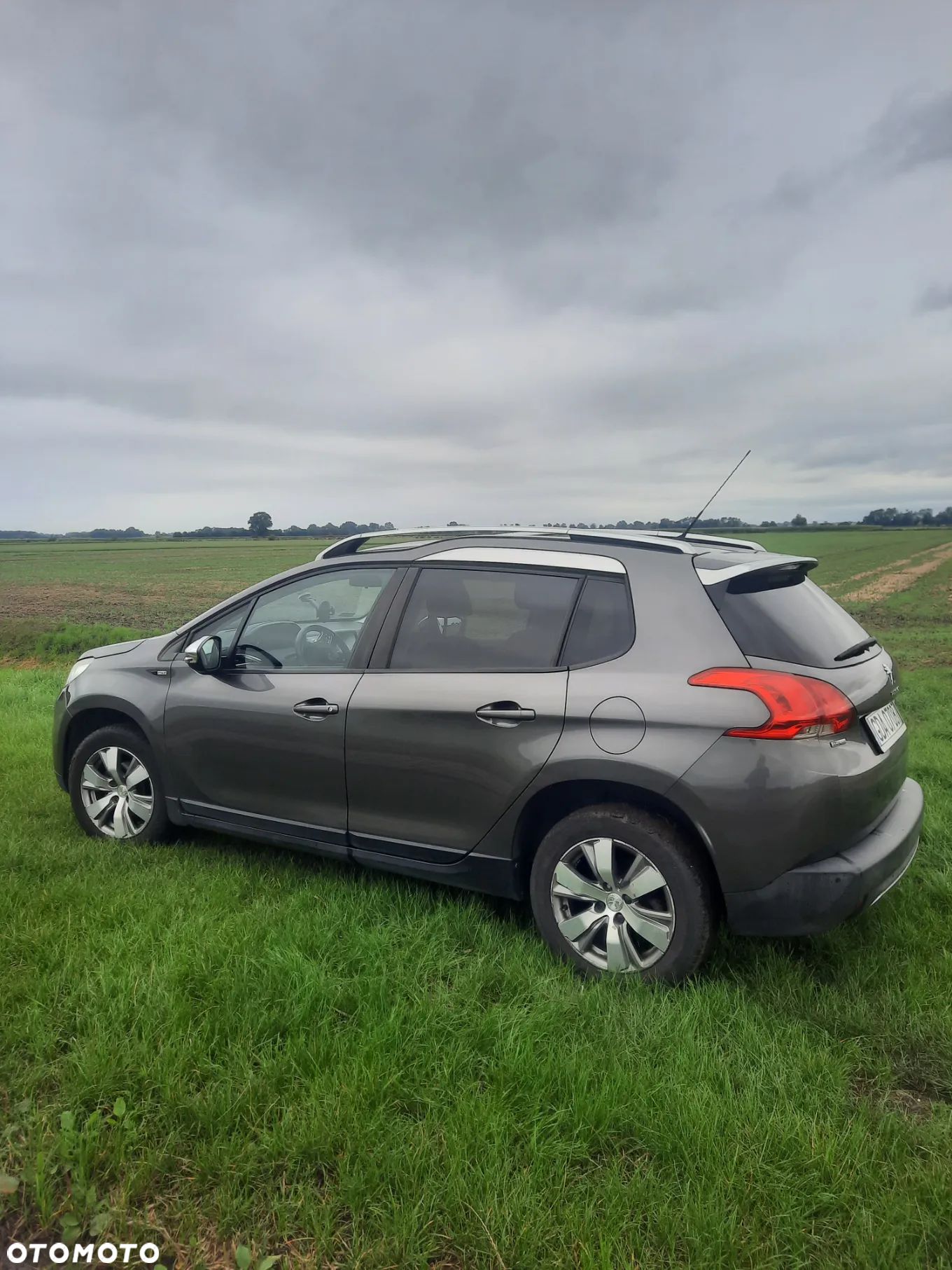Peugeot 2008 - 1