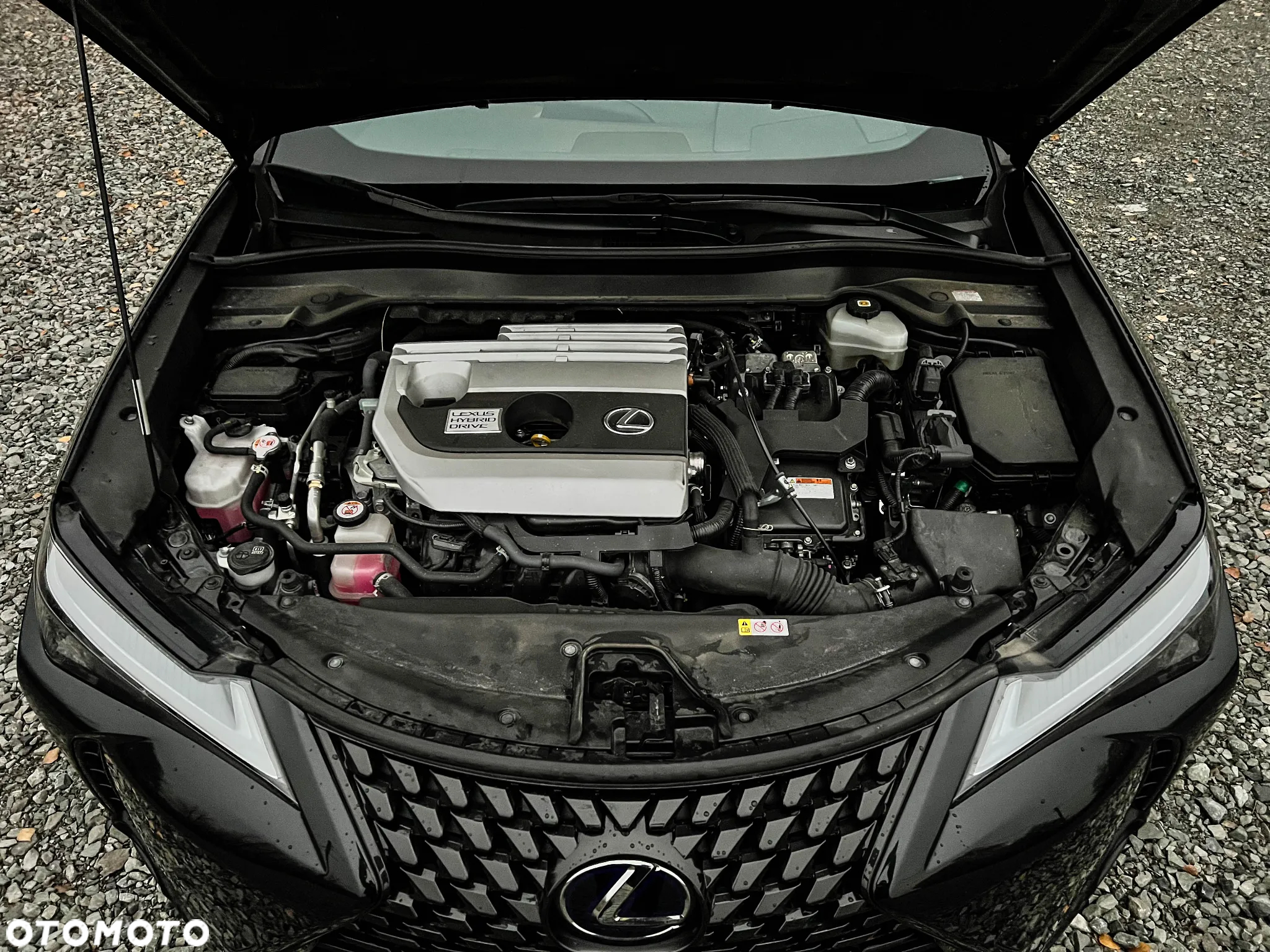 Lexus UX - 20