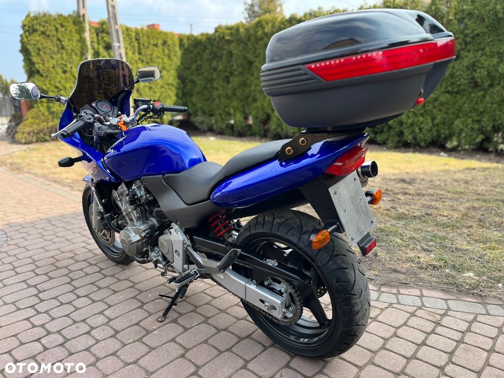 Honda Hornet - 11