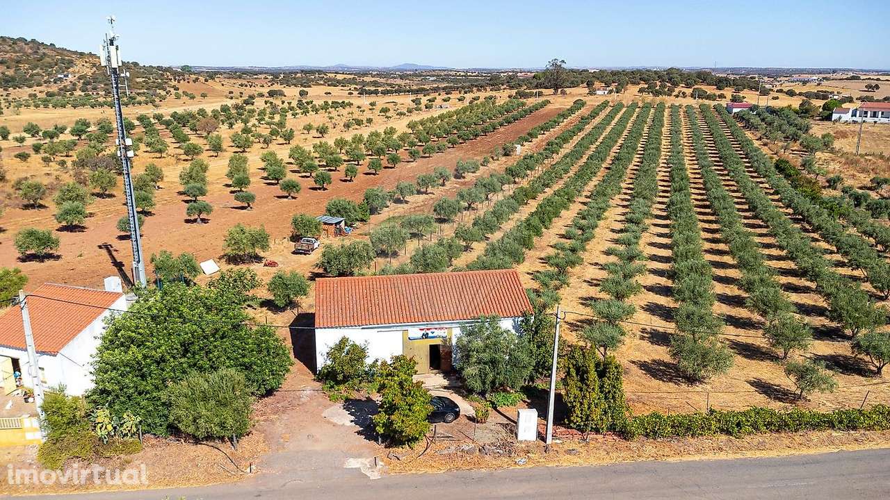 Terreno  para venda - Grande imagem: 5/49