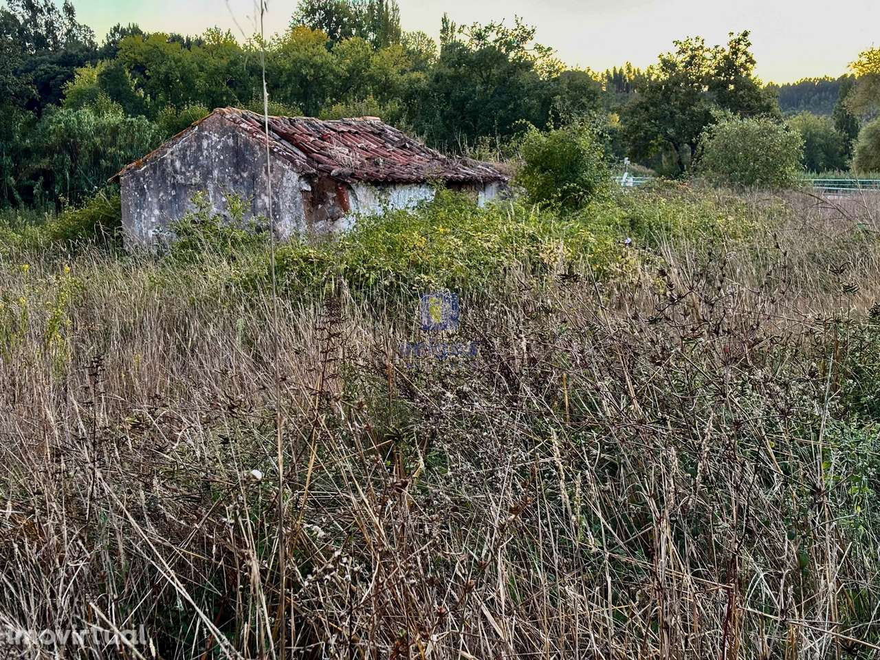 Moradia com Terreno — A dos Negros (Sancheira Grande), Óbidos - Grande imagem: 2/6